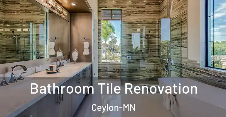 inner Bathroom imggen Bathroom Tile Renovation Ceylon-MN