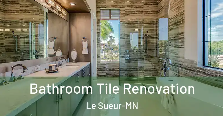 inner Bathroom imggen Bathroom Tile Renovation Le Sueur-MN