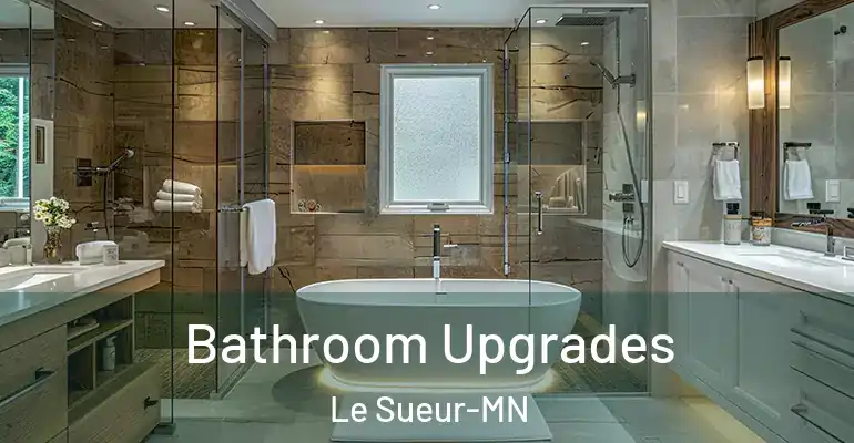 inner Bathroom imggen Bathroom Upgrades Le Sueur-MN