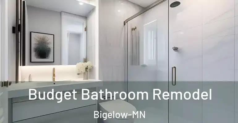 inner Bathroom imggen Budget Bathroom Remodel Bigelow-MN