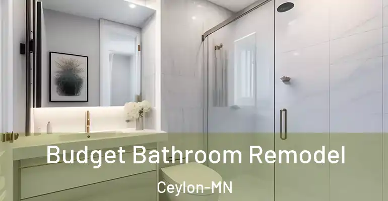 inner Bathroom imggen Budget Bathroom Remodel Ceylon-MN
