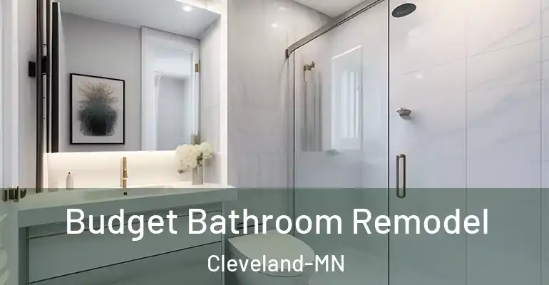 inner Bathroom imggen Budget Bathroom Remodel Cleveland-MN