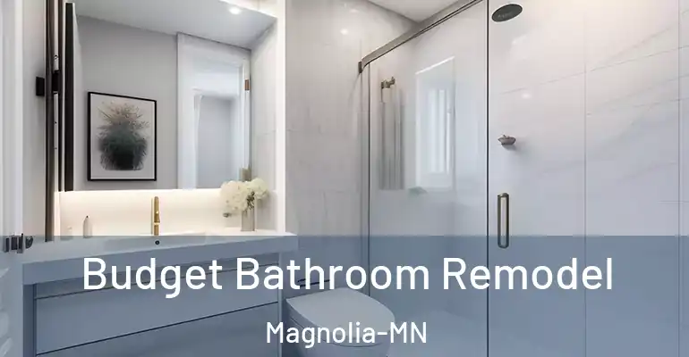 inner Bathroom imggen Budget Bathroom Remodel Magnolia-MN