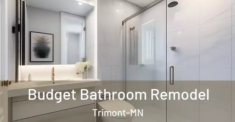 inner Bathroom imggen Budget Bathroom Remodel Trimont-MN