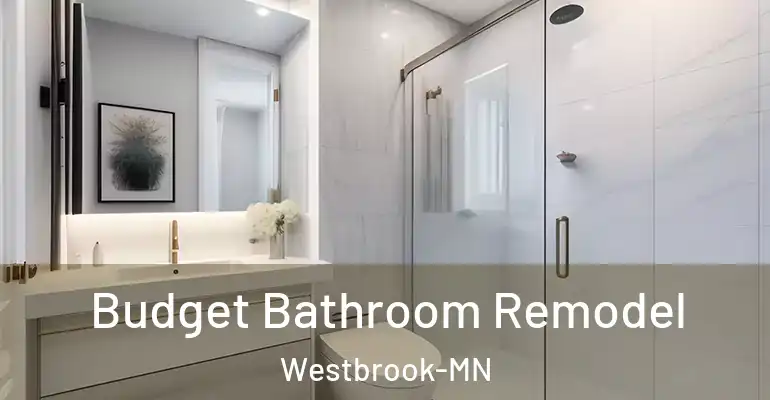 inner Bathroom imggen Budget Bathroom Remodel Westbrook-MN