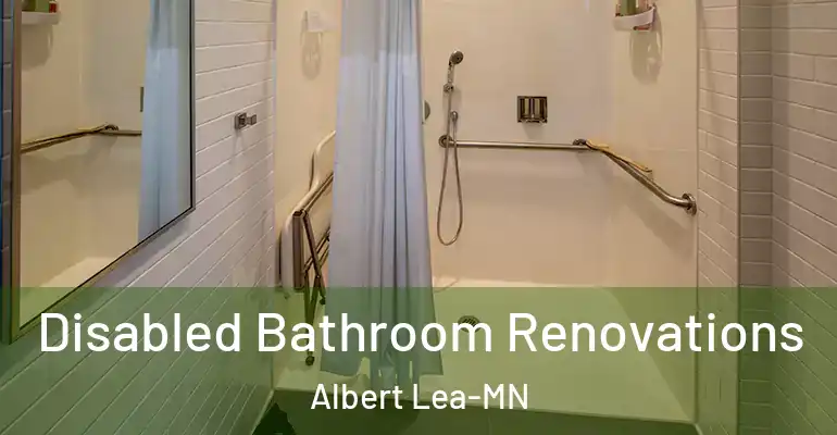 inner Bathroom imggen Disabled Bathroom Renovations Albert Lea-MN