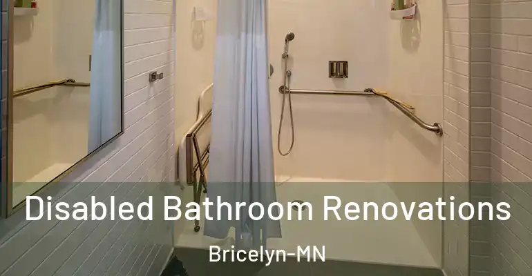 inner Bathroom imggen Disabled Bathroom Renovations Bricelyn-MN