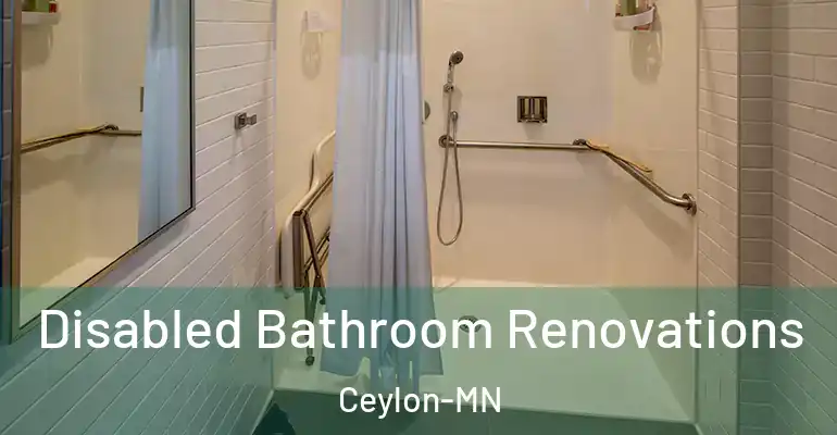 inner Bathroom imggen Disabled Bathroom Renovations Ceylon-MN