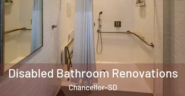 inner Bathroom imggen Disabled Bathroom Renovations Chancellor-SD