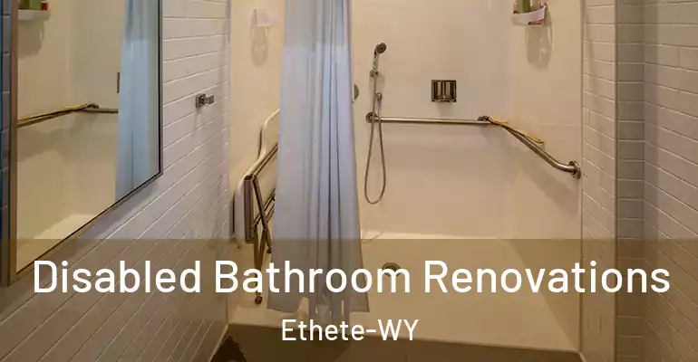 inner Bathroom imggen Disabled Bathroom Renovations Ethete-WY