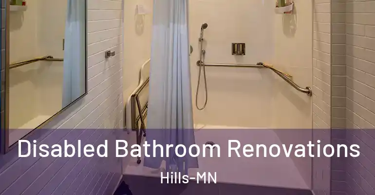 inner Bathroom imggen Disabled Bathroom Renovations Hills-MN