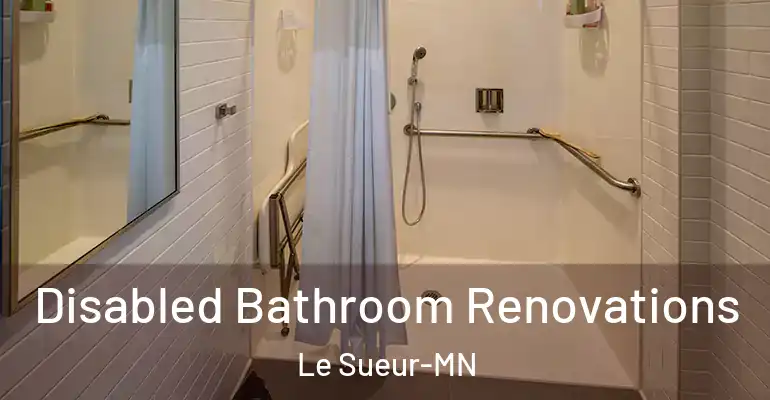 inner Bathroom imggen Disabled Bathroom Renovations Le Sueur-MN