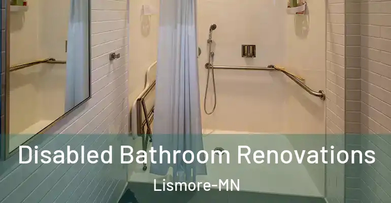 inner Bathroom imggen Disabled Bathroom Renovations Lismore-MN