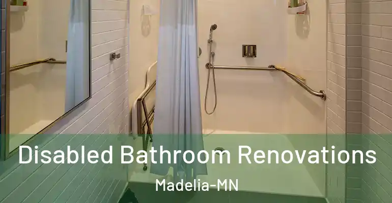 inner Bathroom imggen Disabled Bathroom Renovations Madelia-MN