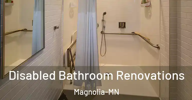 inner Bathroom imggen Disabled Bathroom Renovations Magnolia-MN
