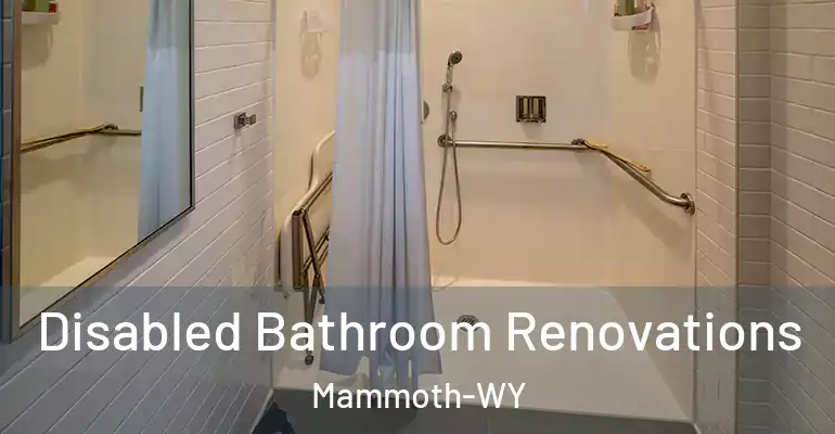 inner Bathroom imggen Disabled Bathroom Renovations Mammoth-WY