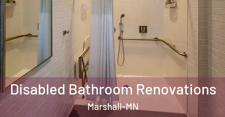 inner Bathroom imggen Disabled Bathroom Renovations Marshall-MN