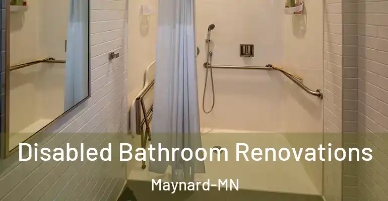 inner Bathroom imggen Disabled Bathroom Renovations Maynard-MN