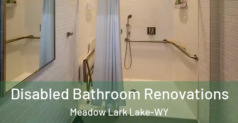 inner Bathroom imggen Disabled Bathroom Renovations Meadow Lark Lake-WY