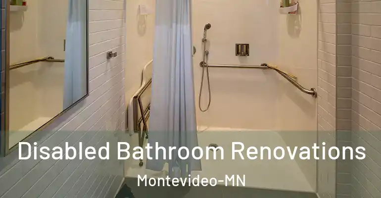inner Bathroom imggen Disabled Bathroom Renovations Montevideo-MN