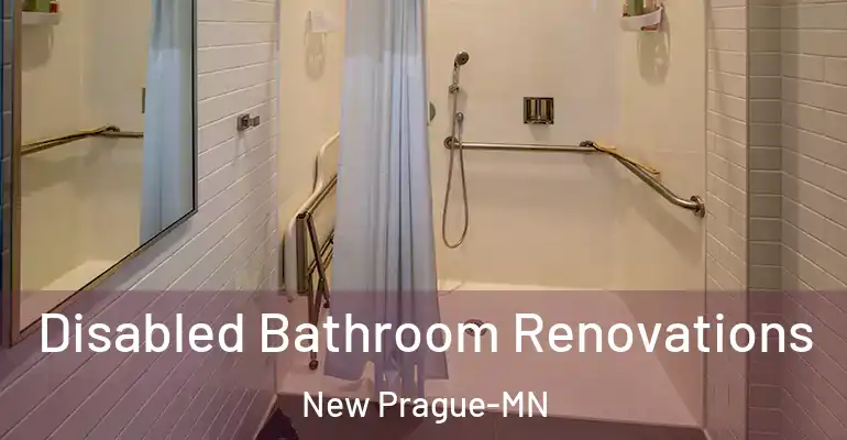 inner Bathroom imggen Disabled Bathroom Renovations New Prague-MN