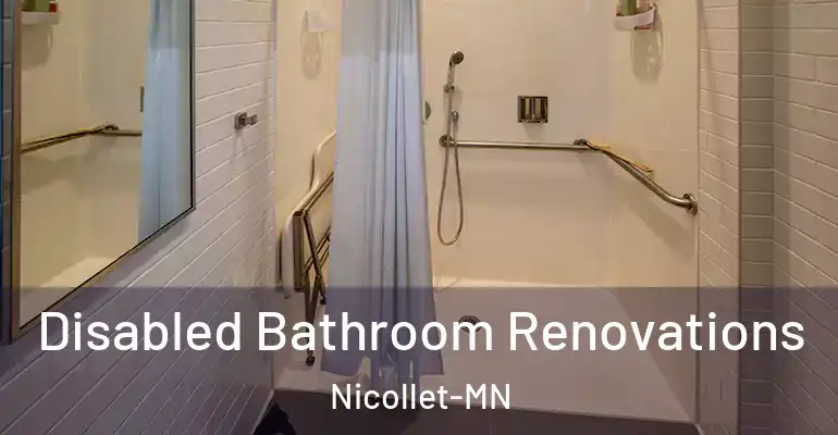 inner Bathroom imggen Disabled Bathroom Renovations Nicollet-MN