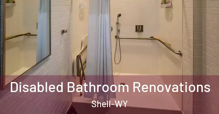 inner Bathroom imggen Disabled Bathroom Renovations Shell-WY