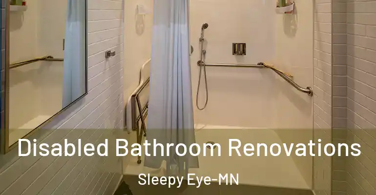 inner Bathroom imggen Disabled Bathroom Renovations Sleepy Eye-MN