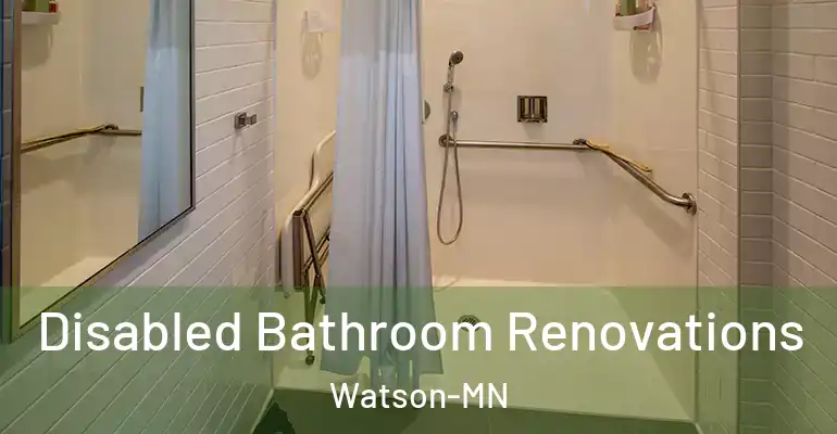 inner Bathroom imggen Disabled Bathroom Renovations Watson-MN