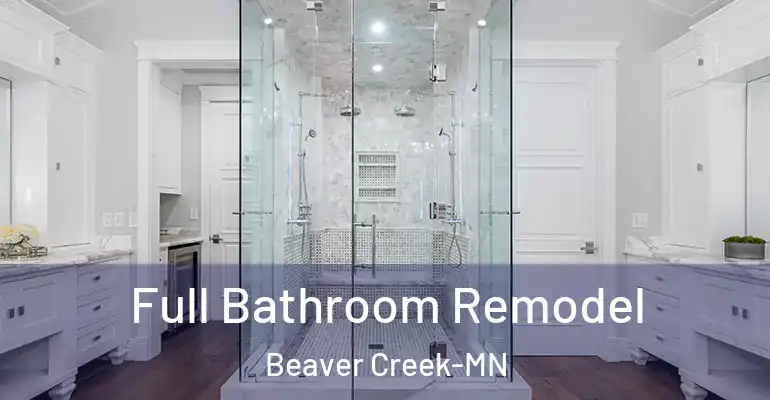 inner Bathroom imggen Full Bathroom Remodel Beaver Creek-MN