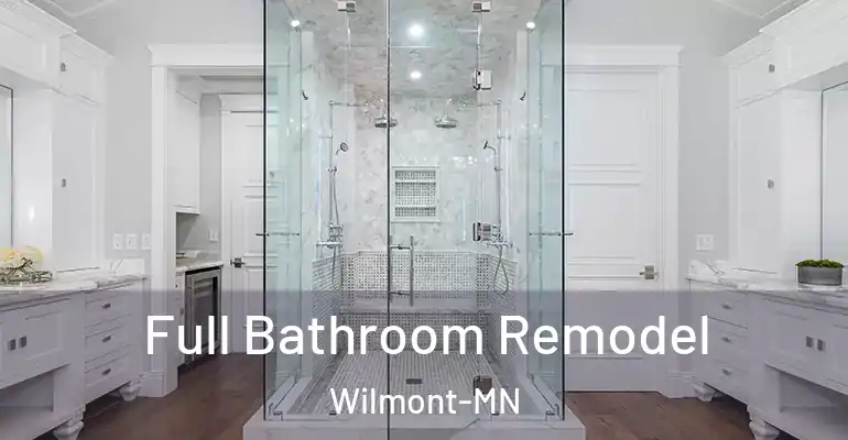inner Bathroom imggen Full Bathroom Remodel Wilmont-MN