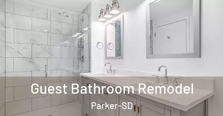 inner Bathroom imggen Guest Bathroom Remodel Parker-SD