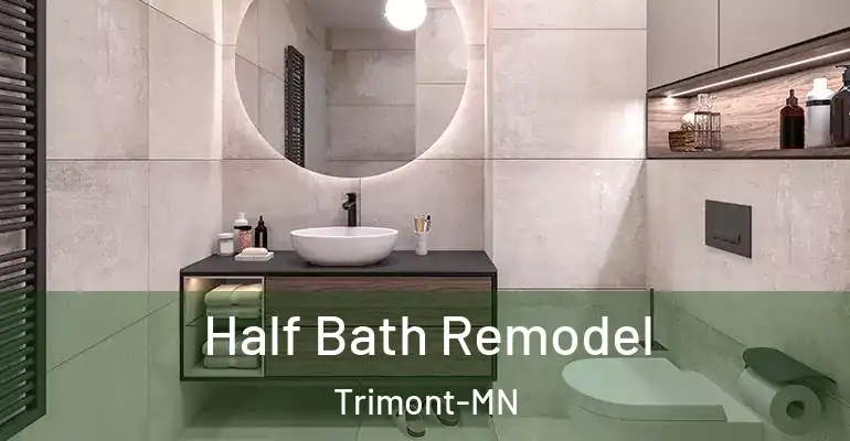inner Bathroom imggen Half Bath Remodel Trimont-MN