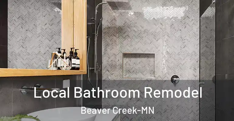 inner Bathroom imggen Local Bathroom Remodel Beaver Creek-MN