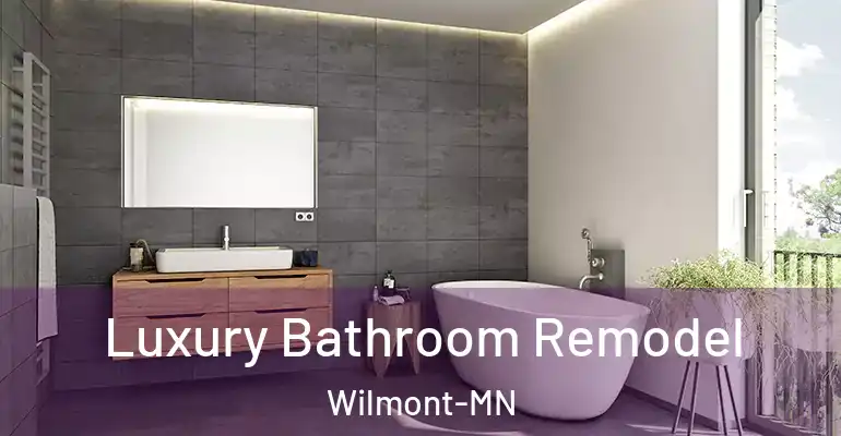 inner Bathroom imggen Luxury Bathroom Remodel Wilmont-MN