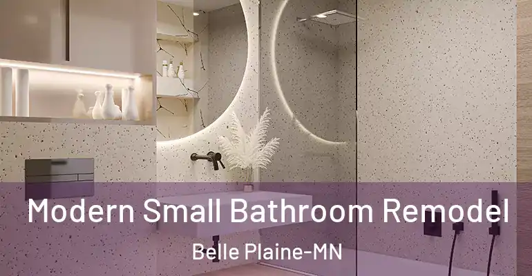 inner Bathroom imggen Modern Small Bathroom Remodel Belle Plaine-MN