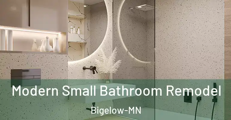 inner Bathroom imggen Modern Small Bathroom Remodel Bigelow-MN