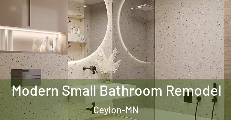 inner Bathroom imggen Modern Small Bathroom Remodel Ceylon-MN