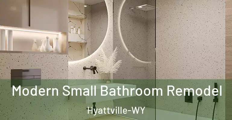 inner Bathroom imggen Modern Small Bathroom Remodel Hyattville-WY