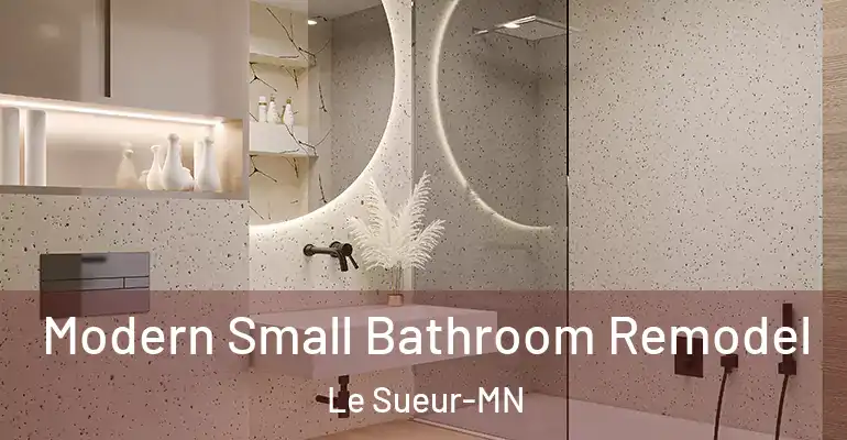 inner Bathroom imggen Modern Small Bathroom Remodel Le Sueur-MN