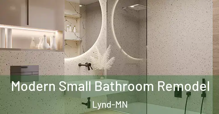 inner Bathroom imggen Modern Small Bathroom Remodel Lynd-MN