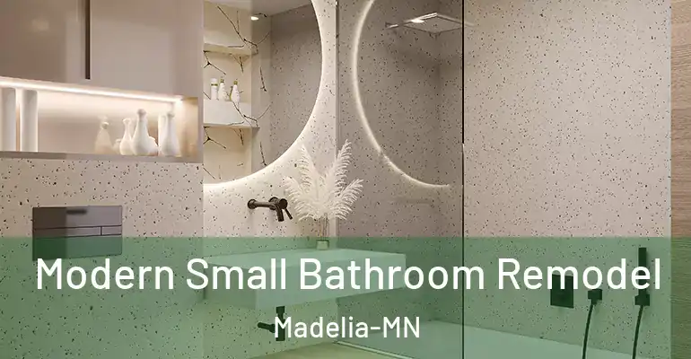 inner Bathroom imggen Modern Small Bathroom Remodel Madelia-MN
