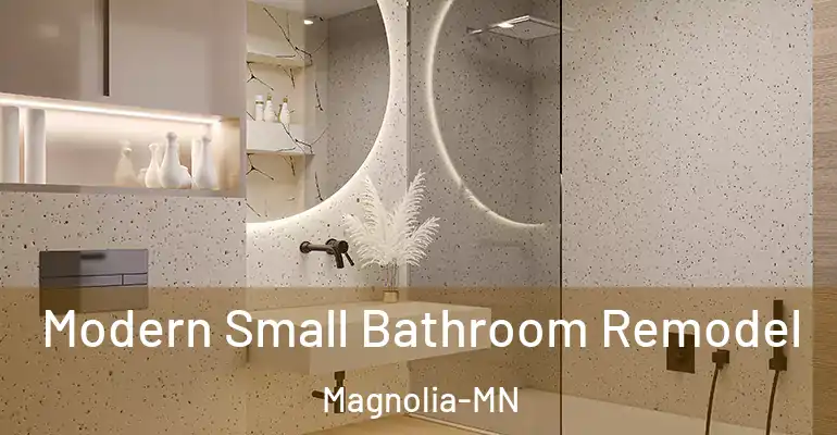inner Bathroom imggen Modern Small Bathroom Remodel Magnolia-MN