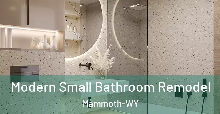 inner Bathroom imggen Modern Small Bathroom Remodel Mammoth-WY