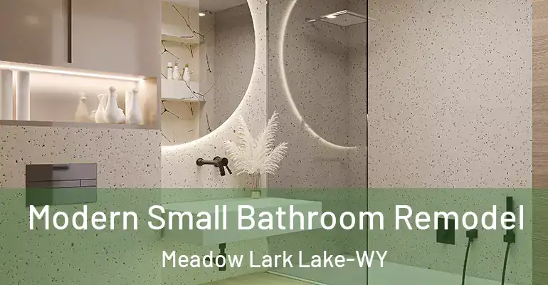 inner Bathroom imggen Modern Small Bathroom Remodel Meadow Lark Lake-WY