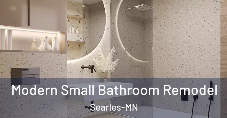 inner Bathroom imggen Modern Small Bathroom Remodel Searles-MN
