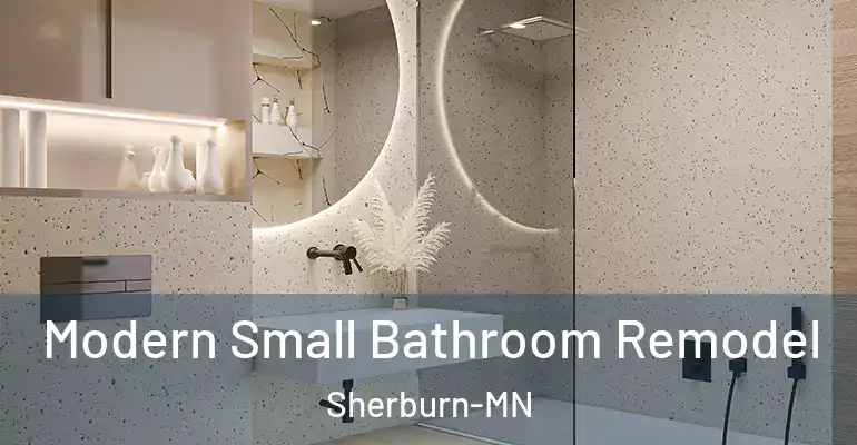 inner Bathroom imggen Modern Small Bathroom Remodel Sherburn-MN