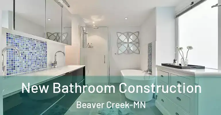 inner Bathroom imggen New Bathroom Construction Beaver Creek-MN