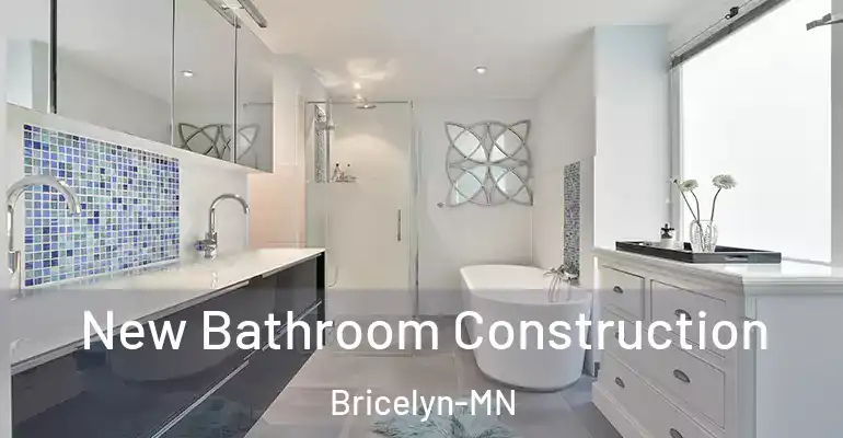 inner Bathroom imggen New Bathroom Construction Bricelyn-MN