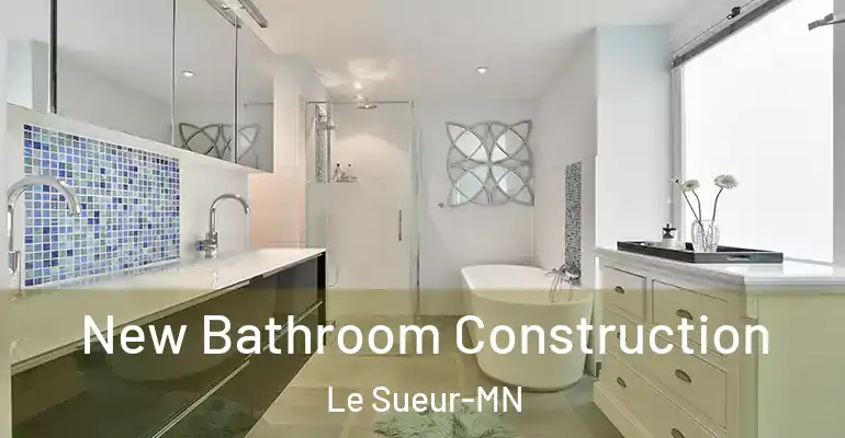 inner Bathroom imggen New Bathroom Construction Le Sueur-MN